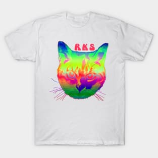 rainbow kitten 4 T-Shirt